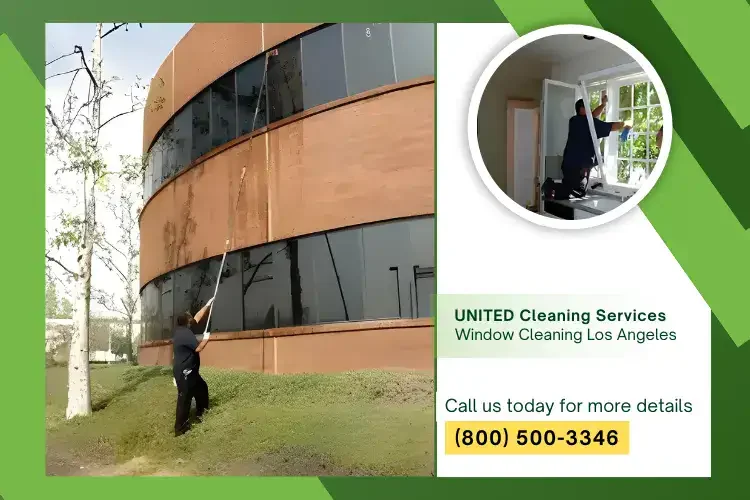Window Washing Los Angeles